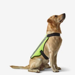 GILET CHIEN CHASSE JAUNE 100 -Camping Promotion Magasin gilet chien chasse jaune 100 2