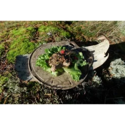 Kupilka Kaarna M - Planche à Découper-Original (Marron) -Camping Promotion Magasin kupilka kaarna m planche a decouper original marron 2