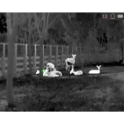 HikMicro Monoculaire De Vision Thermique Hik Micro Lynx Pro LE10 17 HikMicro Monoculaire De Vision Thermique Hik Micro Lynx Pro LE10 -Camping Promotion Magasin monoculaire de vision thermique hik micro lynx pro le10 7