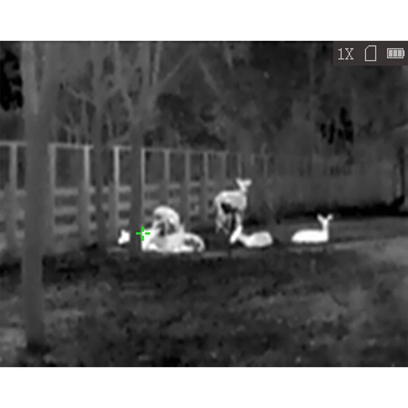 HikMicro Monoculaire De Vision Thermique Hik Micro Lynx Pro LE10 8 HikMicro Monoculaire De Vision Thermique Hik Micro Lynx Pro LE10 – Image 8